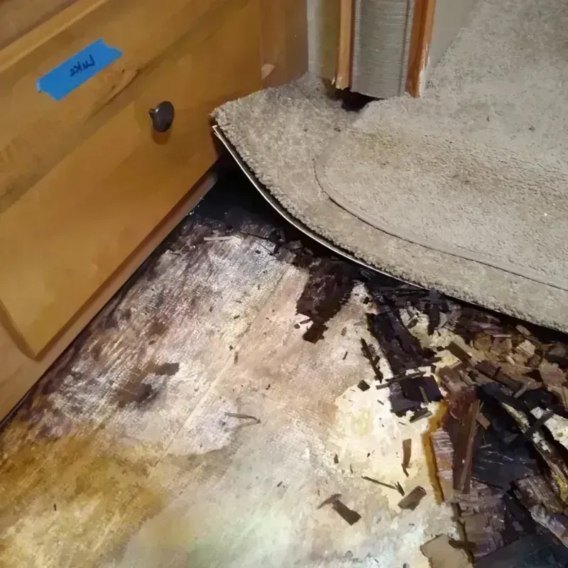 Wood Floor Water Damage in Lee County, AR